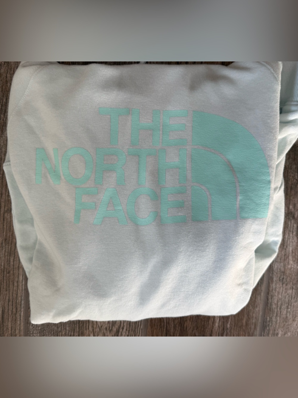 The North Face Medium Mint Logo Hoodie Sweatshirt